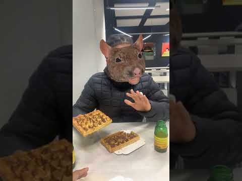 The Rat and the Waffle 🐀 #Shorts