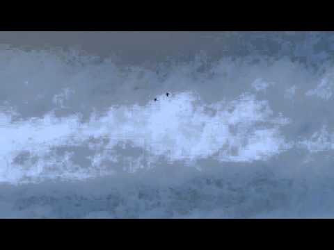 Raaf vs Havik (Northern Goshawk, Accipiter gentilis, Common Raven, Corvus corax) 03-04-2016