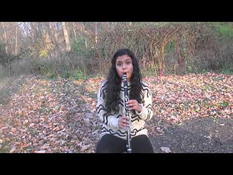 Shake It Off-Taylor Swift (Clarinet Cover)