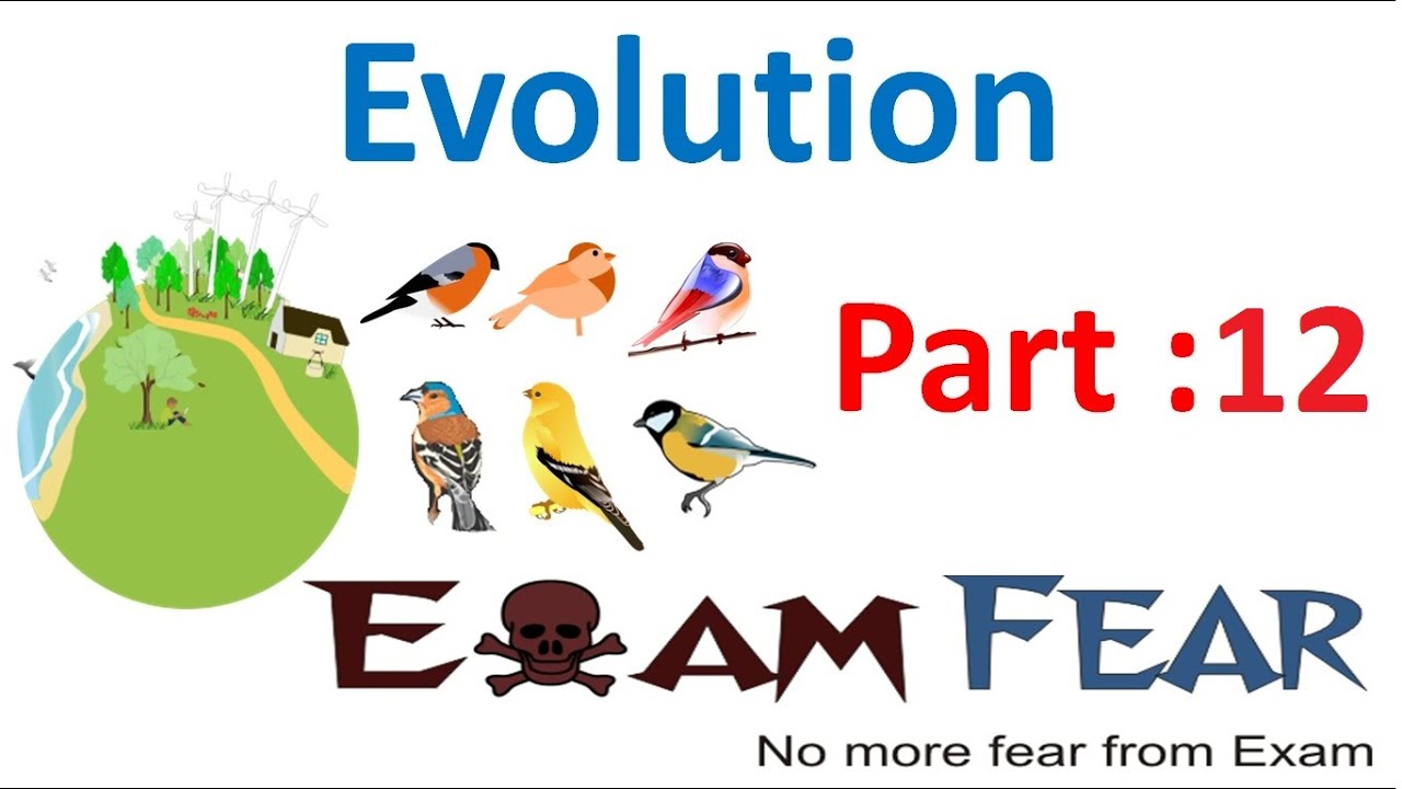 Biology Evolution part 12 (Mechanism of Evolution) class 12 XII