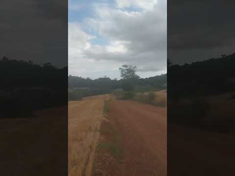 Barão de Cotegipe  Rio Grande do Sul