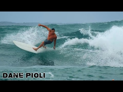Dane Pioli on the Coffs Coast.
