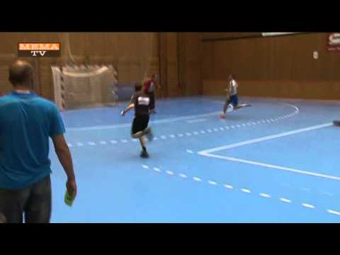 Handball  ECE Bulls gegen Hollabrunn