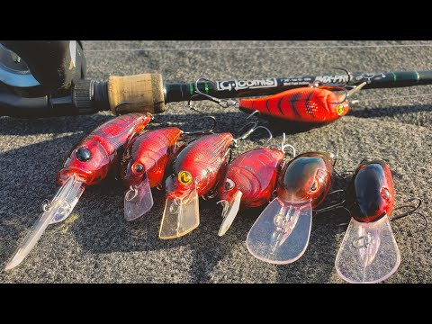 Crankbait Tricks For Spring Bass Fishing (Everything You Need To Know)