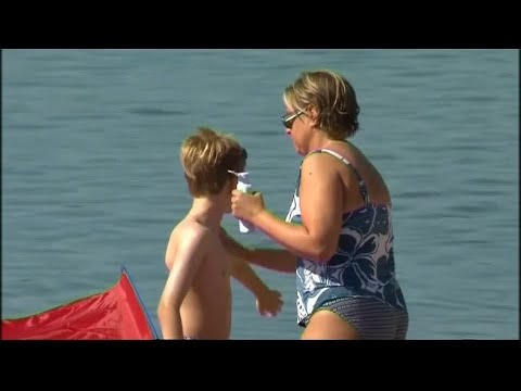 Grüne Alleskönner: Algen als umweltfreundlicher Sonnenschutz