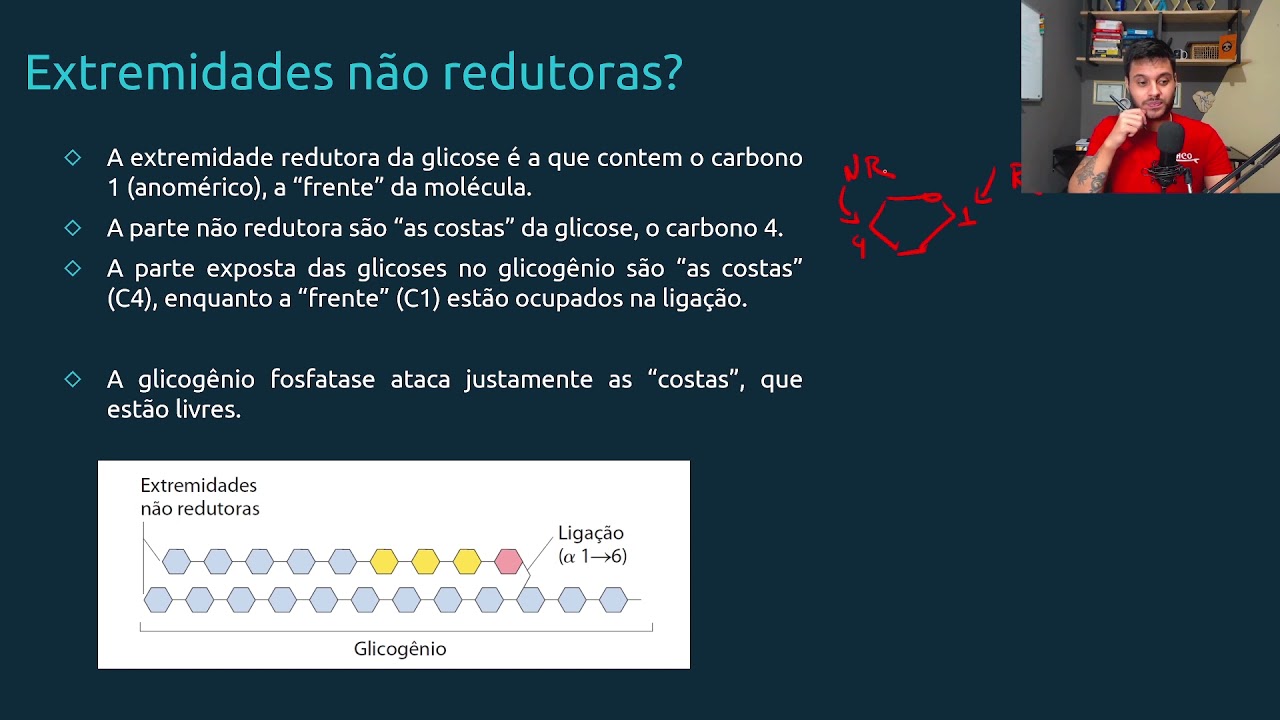 Glicogenólise - Bioquímica