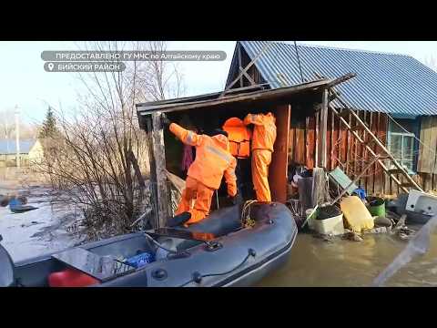 Частичную эвакуацию из-за разлива Бии объявили в Бийском районе (08.04.26г., Бийское телевидение)