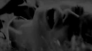 ''your heart is so loud'' cook&effy