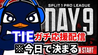 【ALGS】※今日の大会でTIEが決勝行けるか決まります。 ガチで勝ってくれ！  | Apex Legends Global Series Year 6：Split 1 Day 9