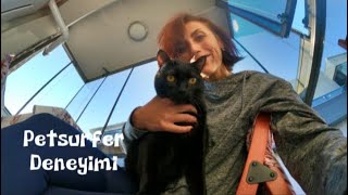 Petsurfer Uygulamasını deneyimledim