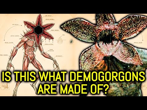 Demogorgon Anatomy Explored - How Do They Reproduce?
