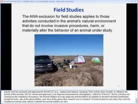 OLAW Webinar: Oversight of Research Involving Wildlife