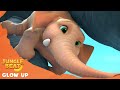 Elephant's Glow Up - Jungle Beat: Munki and Trunk | Kids Animation 2021