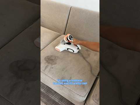 Crusty Couch Clean 🫧✨