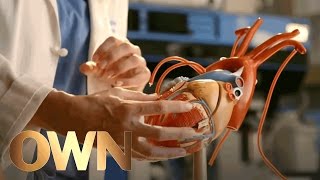 How Love Affects Us Physically: A Heart Surgeon Weighs In | SoulPancake | Oprah Winfrey Network