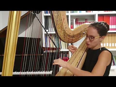G. Donizetti, Lucia di Lammermoor, harp part