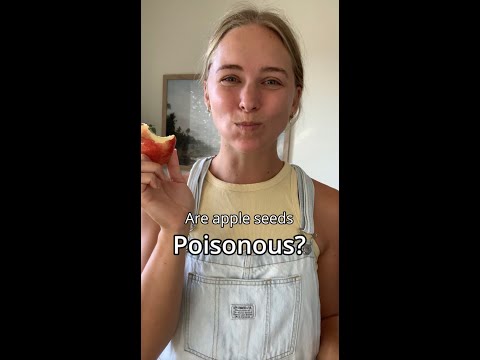 Are apple seeds poisonous?