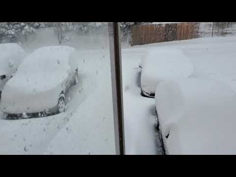 Massive Winter snowstorm Denver, Colorado 3/14/2021