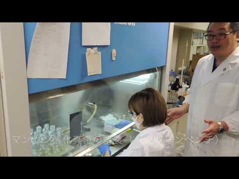食品生命科学科 静岡県立大学　食品栄養科学部　環境生命科学科　環境微生物学研究室