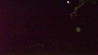 Back to the Graveyard, Evp, "Can't"