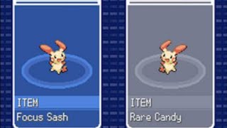 【ポケモンHGSS】バトルステージ極めすぎました【Battle Hall】【概要欄見て!!】