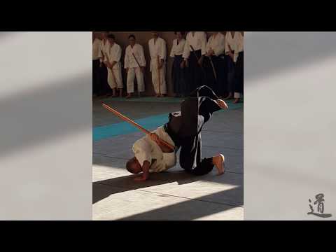 Traditional Aikido Europe - UKEMI WITH BOKKEN - Lewis Bernaldo de Quiros