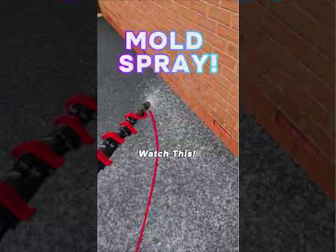 Biocide Spraying Secrets What Mold Removal Companies Hide #shorts