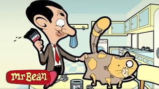 NEW Cat!  Mr Bean Cartoon Season 1  Full Episodes 