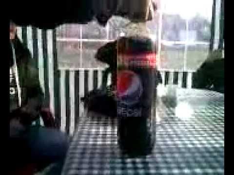 Mr Titi (Dj ciaina :)) )