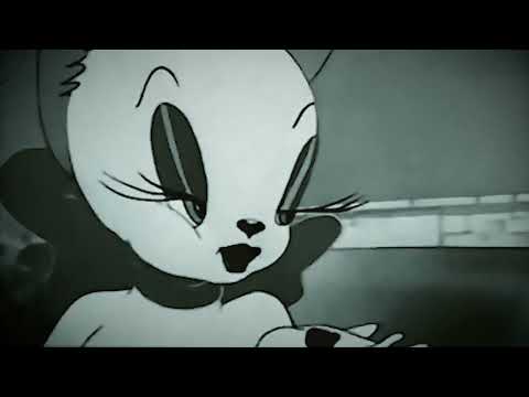 Crazy Dreamer - Social Distortion