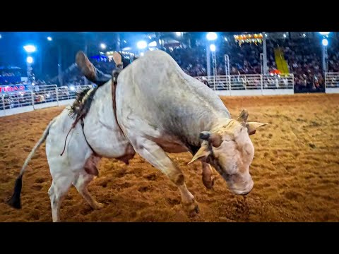 Rodeio de TACIBA 2025 - (QUINTA / MELHORES MOMENTOS)