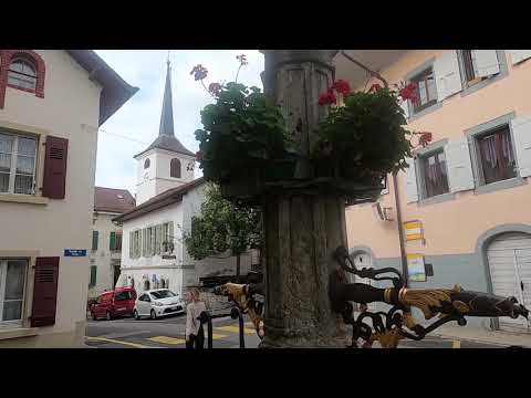 Suisse :  le vignoble de Lavaux