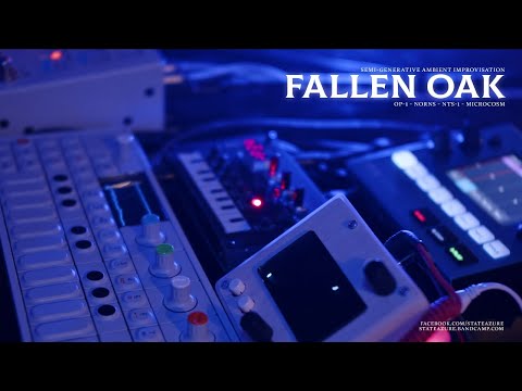 Fallen Oak - Semi-generative ambient improv. (OP-1, Norns, NTS-1)