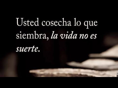 Malas acciones, malas consecuencias.