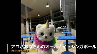 アロハおじさんのオールナイトシンガポール #1 シンガポール移住の経緯