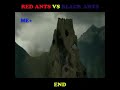 Semut Merah Vs Semut Hitam Part 3
