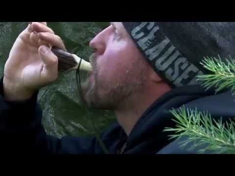 Lokkejakt på kråke og ravn av Kristoffer Clausen, Crowhunting with predatorcalls