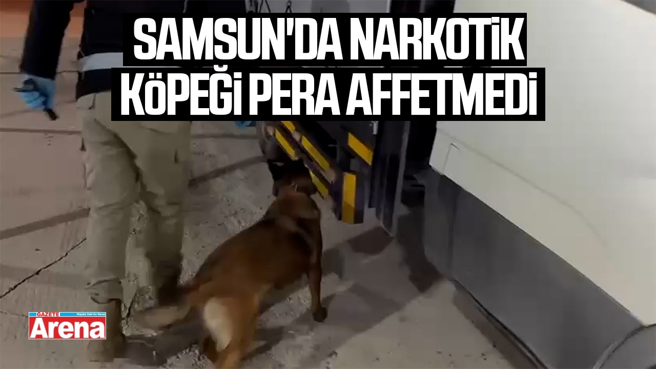 Samsun'da narkotik köpeği Pera affetmedi