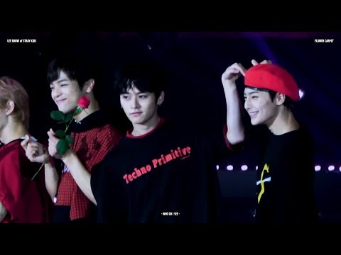 180802 스트레이키즈 Stray Kid KMF / 플라워카펫 (리노 LeeKnow focus / Side ver.)