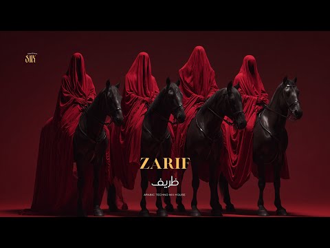 Zarif | ظريف | Arabic Techno House Mix SNX