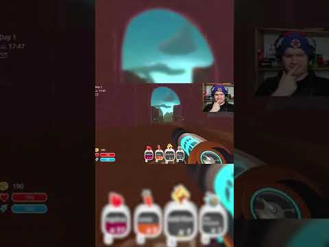 Big Chungus Equals Big Money #shorts