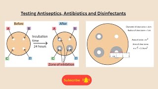 Testing Antiseptics, Antibiotics and Disinfectants for AQA GCSE Biology