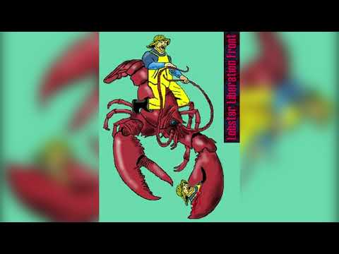 Beastie Boys & The B52s - Sabotage Lobster (Mashup)