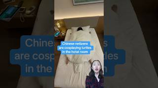 Download lagu Chinese netizens are cosplaying turtles in the hotel room mp3