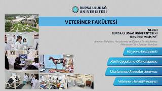 📌Neden Bursa Uludağ Üniversitesi – Veteriner Fakültesi'ni Tercih Etmel