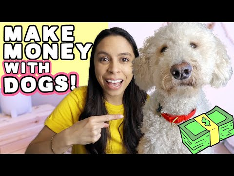 SIDE HUSTLES FOR DOG LOVERS 🐶 Make money doing what you love ❤️