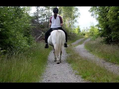 5 months ~ Bonfire heart