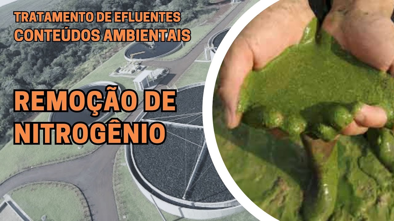 REMOÇÃO DE NITROGÊNIO EM EFLUENTES
