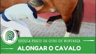 Miniatura do vídeo