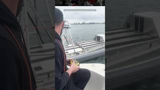 Download lagu U.S. Navy's New GARC Drone Boats to Gather Real-Time Intelligence, Surveillance, Recon Data (ISR) mp3
